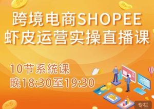 跨境电商Shopee虾皮运营实操直播课,从零开始学,入门到精通(10节系统课)-网赚项目众筹网