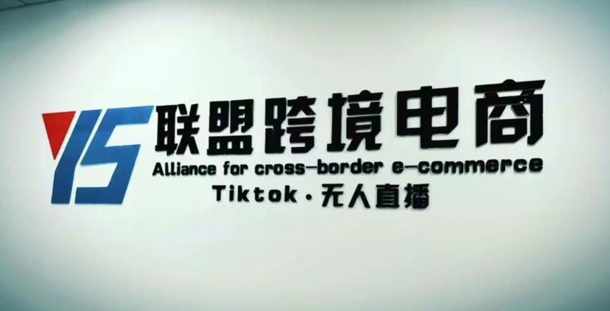 YS联盟·Tiktok无人直播，不出镜不剪辑不拍摄不发货无售后的跨境短视频躺赚玩法-网赚项目众筹网