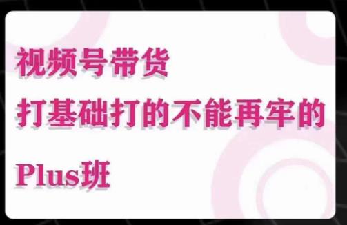 大播汇·视频号带货Puls班，视频号底层逻辑，起号自然流鱼塘等玩法-网赚项目众筹网