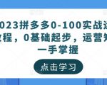 2023拼多多0-100实战运营教程,0基础起步,运营知识一手掌握-网赚项目众筹网