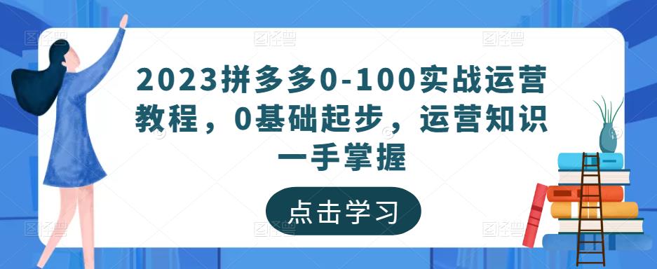 2023拼多多0-100实战运营教程，0基础起步，运营知识一手掌握-网赚项目众筹网