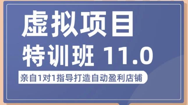 陆明明·虚拟项目特训班（10.0+11.0），0成本获取虚拟素材，0基础打造自动盈利店铺-网赚项目众筹网