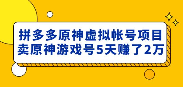 外面卖2980的拼多多原神虚拟帐号项目：卖原神游戏号5天赚了2万-网赚项目众筹网