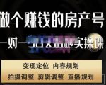 刘广标·同城房产号线上陪跑课,拍摄、剪辑、写文案、直播,做一个具有潜力价值的房产号-网赚项目众筹网