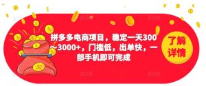 2023拼多多电商项目,稳定一天300~3000+,门槛低,出单快,一部手机即可完成-网赚项目众筹网