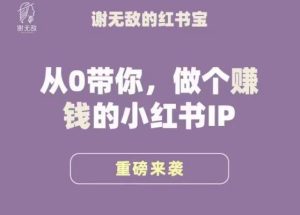 谢无敌·小红书运营大宝典,从0带你做个赚钱的小红书IP-网赚项目众筹网