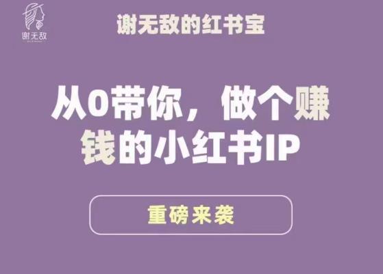 谢无敌·小红书运营大宝典，从0带你做个赚钱的小红书IP-网赚项目众筹网