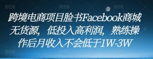 跨境电商项目脸书Facebook商城无货源,低投入高利润,熟练操作后月收入不会低于1W-3W-网赚项目众筹网
