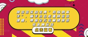 拼多多实战宝典“初级到高手”,新手小白必看拼多多课程,带你全方位解读拼多多各种玩法-网赚项目众筹网