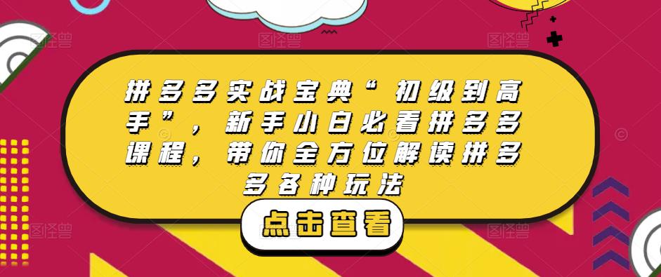 拼多多实战宝典“初级到高手”，新手小白必看拼多多课程，带你全方位解读拼多多各种玩法-网赚项目众筹网
