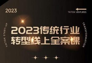 数据哥2023传统行业转型线上全案课,2023年传统行业如何转型线上,线上创业/传统转型避坑宝典-网赚项目众筹网