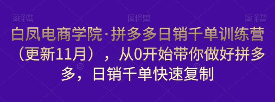 白凤电商学院·拼多多日销千单训练营，从0开始带你做好拼多多，日销千单快速复制（更新知2023年3月）-网赚项目众筹网