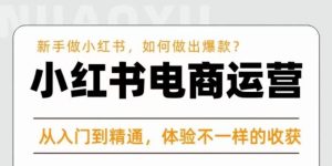 红商学院·小红书电商运营课,新手做小红书如何快速做出爆款,从入门到精通,体验不一样的收货-网赚项目众筹网