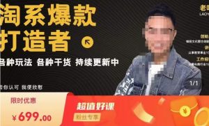 锋投老叶全店动销,淘系干货汇总,各种玩法,淘系爆款打造者-网赚项目众筹网