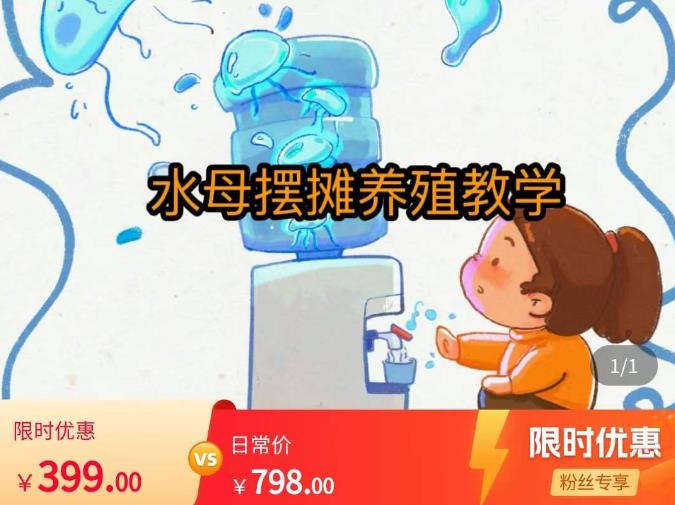 水母摆摊教学，包括摆摊技术、养殖技术、拿货渠道、抖音运营等-网赚项目众筹网