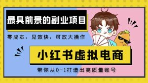 小红书蓝海大市场虚拟电商项目,手把手带你打造出日赚2000+高质量红薯账号-网赚项目众筹网
