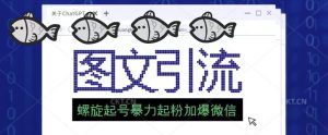 2023年价值1980的图文引流创业粉螺旋起好技术暴力起粉加爆微信-网赚项目众筹网