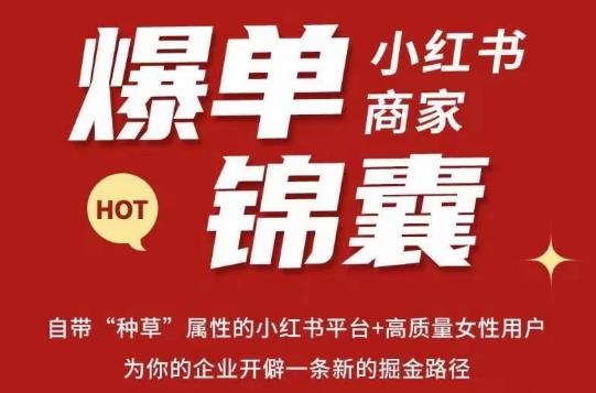 无畏·小红书商家爆单锦囊，掌握小红书各大规则，快速精准抢占行业和市场-网赚项目众筹网