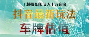 抖音最新无人直播变现直播车牌估值玩法项目,轻松日赚几百+【详细玩法教程】-网赚项目众筹网