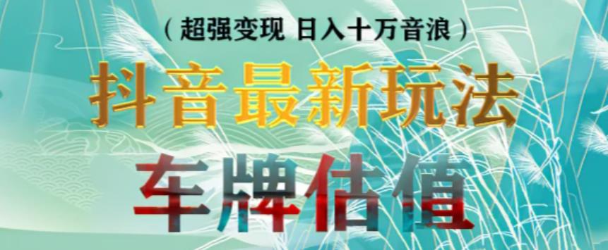 抖音最新无人直播变现直播车牌估值玩法项目，轻松日赚几百+【详细玩法教程】-网赚项目众筹网