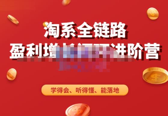 淘系全链路盈利增长闭环进阶营，融合全店动销，学得会、听得懂、能落地！-网赚项目众筹网