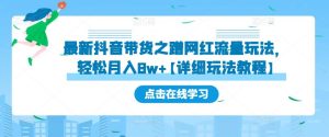 最新抖音带货之蹭网红流量玩法,轻松月入8w+【详细玩法教程】-网赚项目众筹网