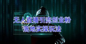 外面收费3980的无人直播引流创业粉落地实操玩法，单日引100+精准创业粉-网赚项目众筹网