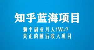 知乎蓝海玩法,躺平副业月入1W+,真正的睡后收入项目(6节视频课)-网赚项目众筹网