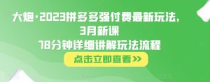 大炮·2023拼多多强付费最新玩法,3月新课78分钟详细讲解玩法流程-网赚项目众筹网