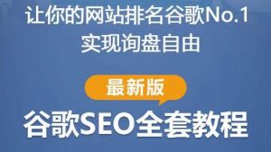 谷歌SEO实战教程:如何让你的网站在谷歌排名第一,内容从入门到高阶,适合个人及团队-网赚项目众筹网