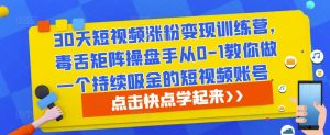 30天短视频涨粉变现训练营,毒舌矩阵操盘手从0-1教你做一个持续吸金的短视频账号-网赚项目众筹网
