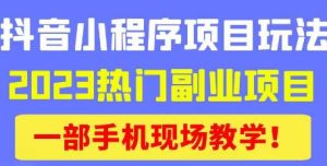 抖音小程序9.0新技巧，2023热门副业项目，动动手指轻松变现-网赚项目众筹网