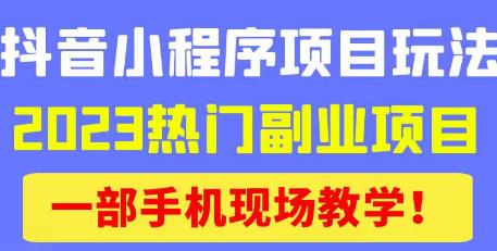 抖音小程序9.0新技巧，2023热门副业项目，动动手指轻松变现-网赚项目众筹网