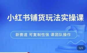 小红书铺货玩法实操课,流量大,竞争小,非常好做,新赛道,可复制性强,可团队操作-网赚项目众筹网