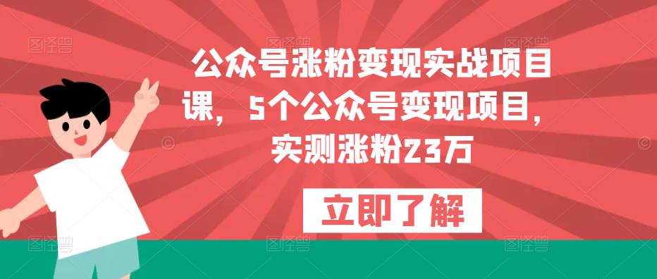 公众号涨粉变现实战项目课，5个公众号变现项目，实测涨粉23万-网赚项目众筹网