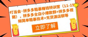 叮当会·拼多多粗暴赚钱特训营(11-19期),拼多多全店小爆款群+拼多多视频简单粗暴技术+无货源店群等-网赚项目众筹网