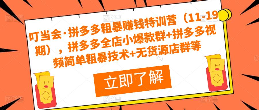 叮当会·拼多多粗暴赚钱特训营（11-19期），拼多多全店小爆款群+拼多多视频简单粗暴技术+无货源店群等-网赚项目众筹网