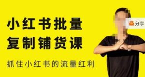 张宾·小红书批量复制铺货课,小红书0-1快速起号变现玩法,抓住小红书的流量红利(更新2023年3月)-网赚项目众筹网