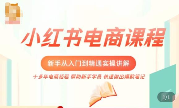 小红书电商新手入门到精通实操课，从入门到精通做爆款笔记，开店运营-网赚项目众筹网