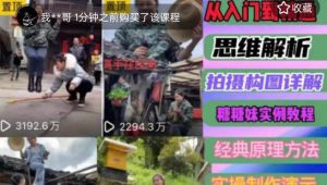 东方糖糖妹抖音短视频全套实战课思维+拍摄+剪辑+运营，从入门到精通-网赚项目众筹网