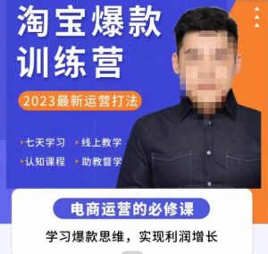 爱上黄昏·淘宝爆款训练营,2023最新运营打法,学习爆款思维,实现利润增长-网赚项目众筹网