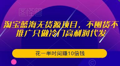 淘宝蓝海无货源项目，不囤货不推广只做冷门高利润代发，花一半时间赚10倍钱-网赚项目众筹网