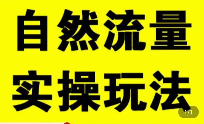 拼多多自然流量天花板，拼多多自然流的实操玩法，自然流量是怎么来的，如何开车带来自然流等知识-网赚项目众筹网