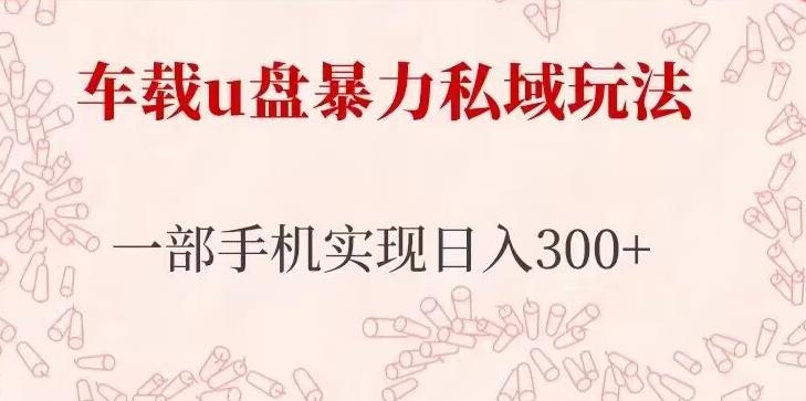 车载u盘暴力私域玩法，长期项目，仅需一部手机实现日入300+-网赚项目众筹网
