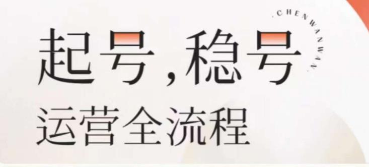 婉婉-起号稳号运营全流程，解决从小白到进阶所有运营知识，帮助解决账号所有运营难题-网赚项目众筹网