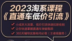 2023直通车低价引流玩法课程，小成本大流量，低价引流快速拉新收割，让你快速掌握直通车突破瓶颈-网赚项目众筹网