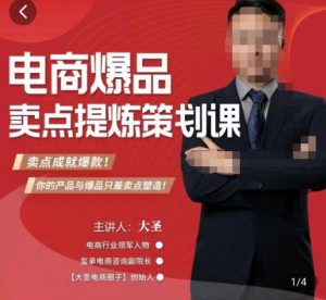 大圣·电商标品爆款卖点策划课,标品卖点成就爆款,可落地卖点提炼课-网赚项目众筹网