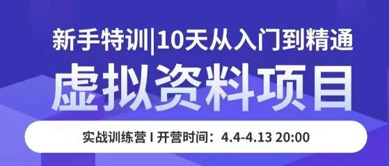 虚拟资料项目新手特训，10天从入门到精通，保姆级实操教学-网赚项目众筹网