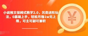 小说推文保姆式教学2.0，另类进阶玩法，0基础上手，轻松月撸1w无上限，可主可副可兼职-网赚项目众筹网