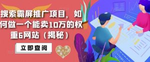 搜索霸屏推广项目,如何做一个能卖10万的权重6网站(揭秘)-网赚项目众筹网
